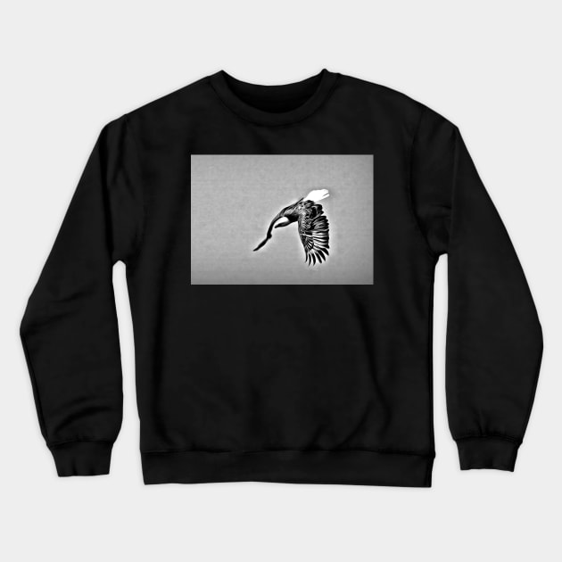 Eagle dive Crewneck Sweatshirt by bradyclarke